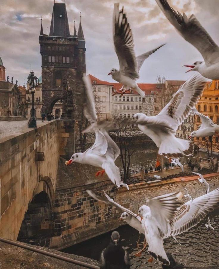 Lena Apartamento Praga