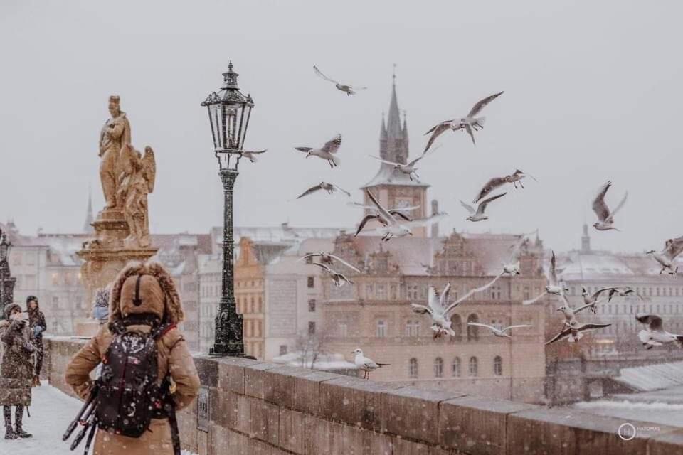 Lena * Praga
