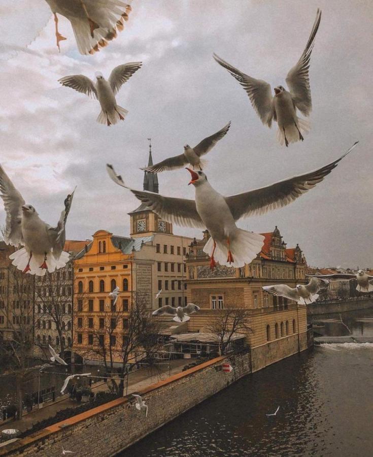 Lena * Praga