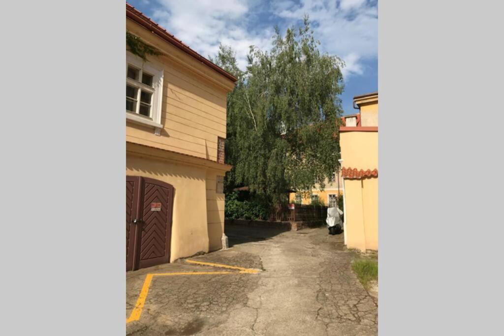 Daire Rose / Romantic & Cozy / City Center