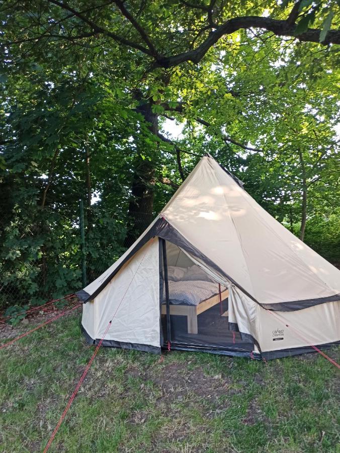 Seberak - V Chatickach A V Luxusnich Stanech Prague