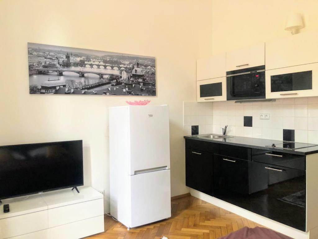 Peaceful Couple / Old Town / Jewish Quarter Apartamento Praga