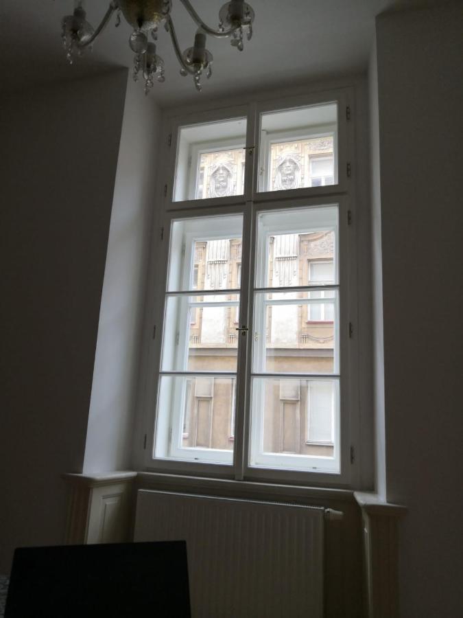 Private In Shared Luxurious Palace Like With 2 Bathrooms Including Whirlpool And Virtual Reality Konukevi Prag