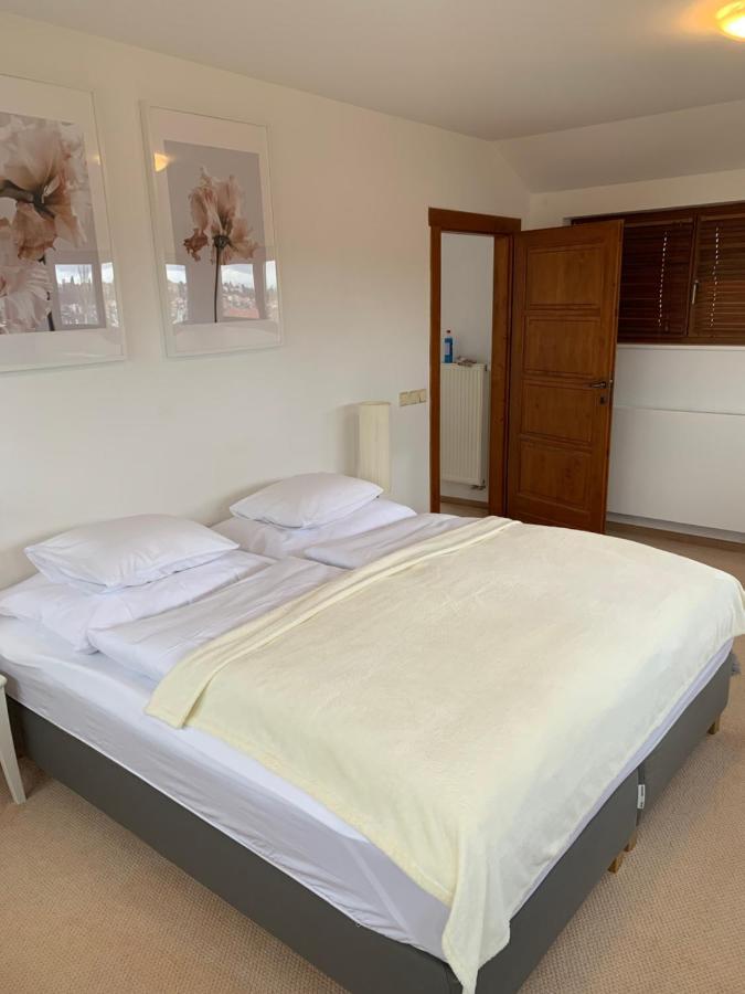 Apartment Sarka Prague
