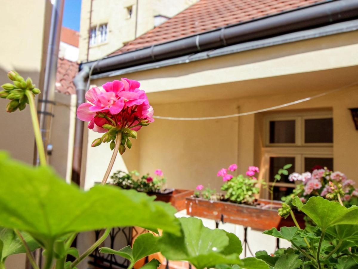 Nerudova By Interhome Prague