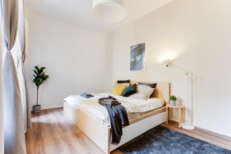 New & Cozy 3bds In Historical Center - S8