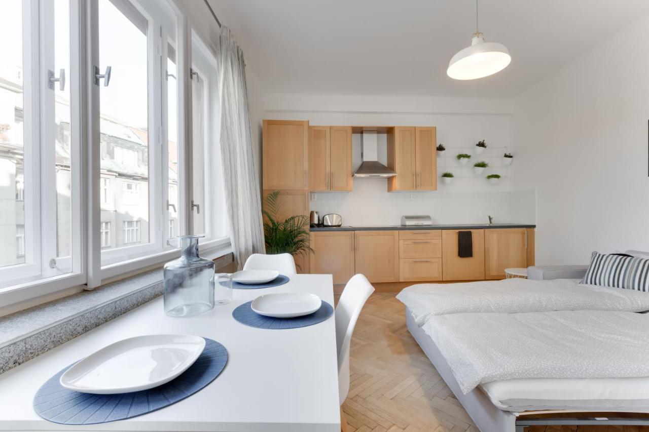 Flat 2 Bedrooms In Historical Center - Klimentska Daire Prag