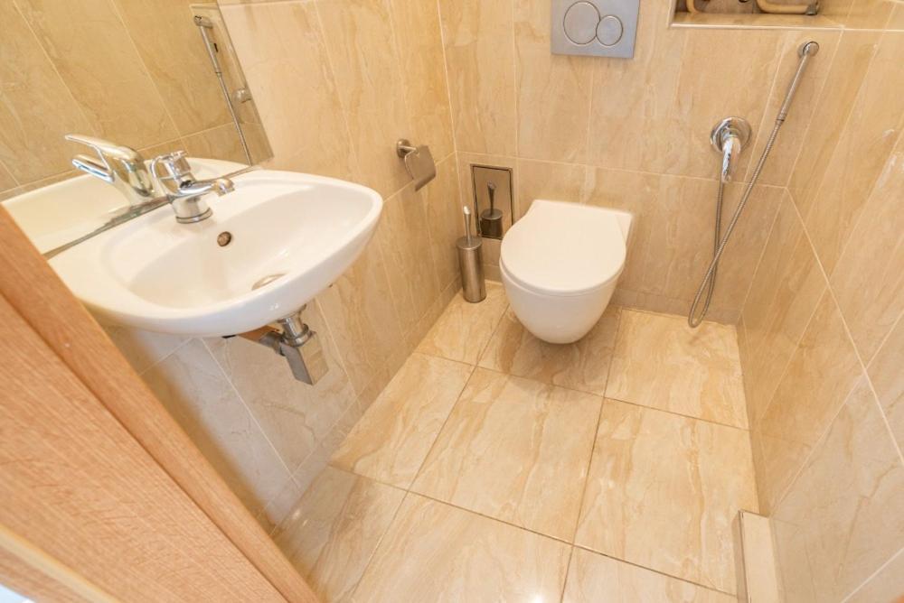 Templova - Old Town Large With Terrace Appartement Prague