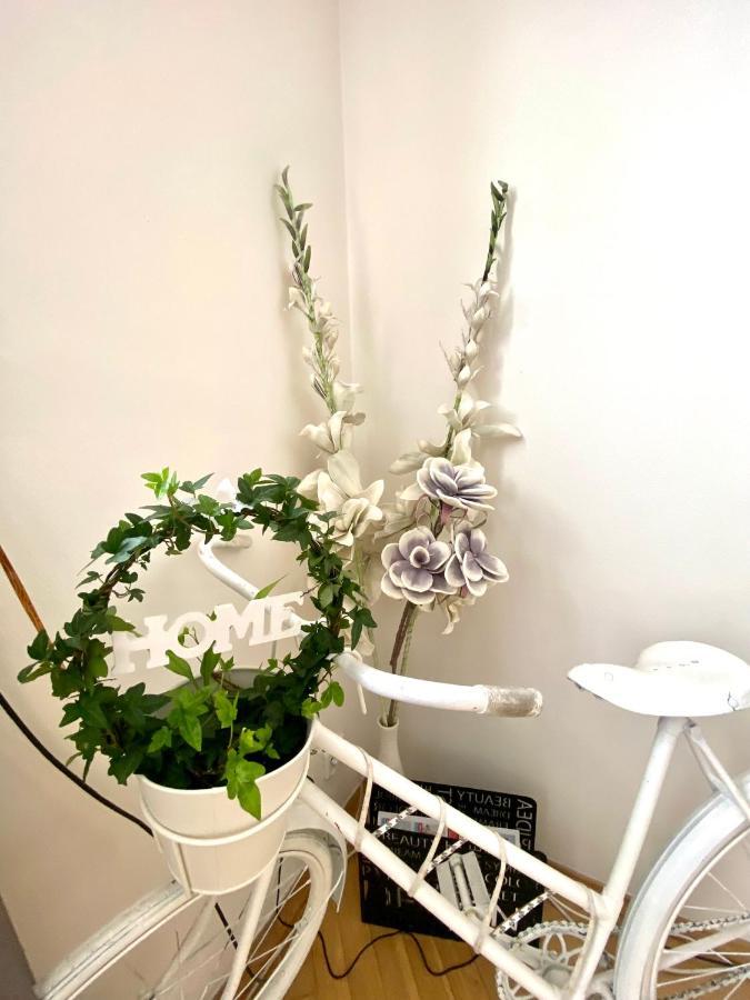 Fantastic In The Center Apartment Prague