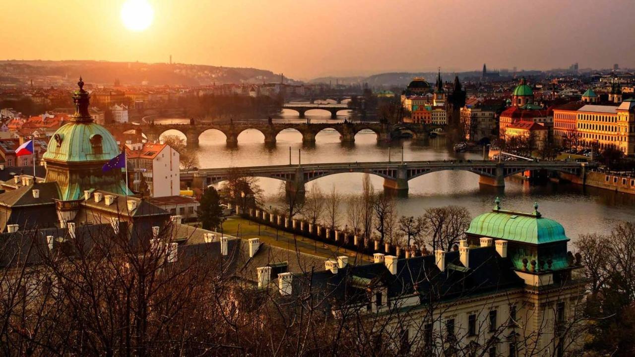 Royal By Michal&friends Daire Prag