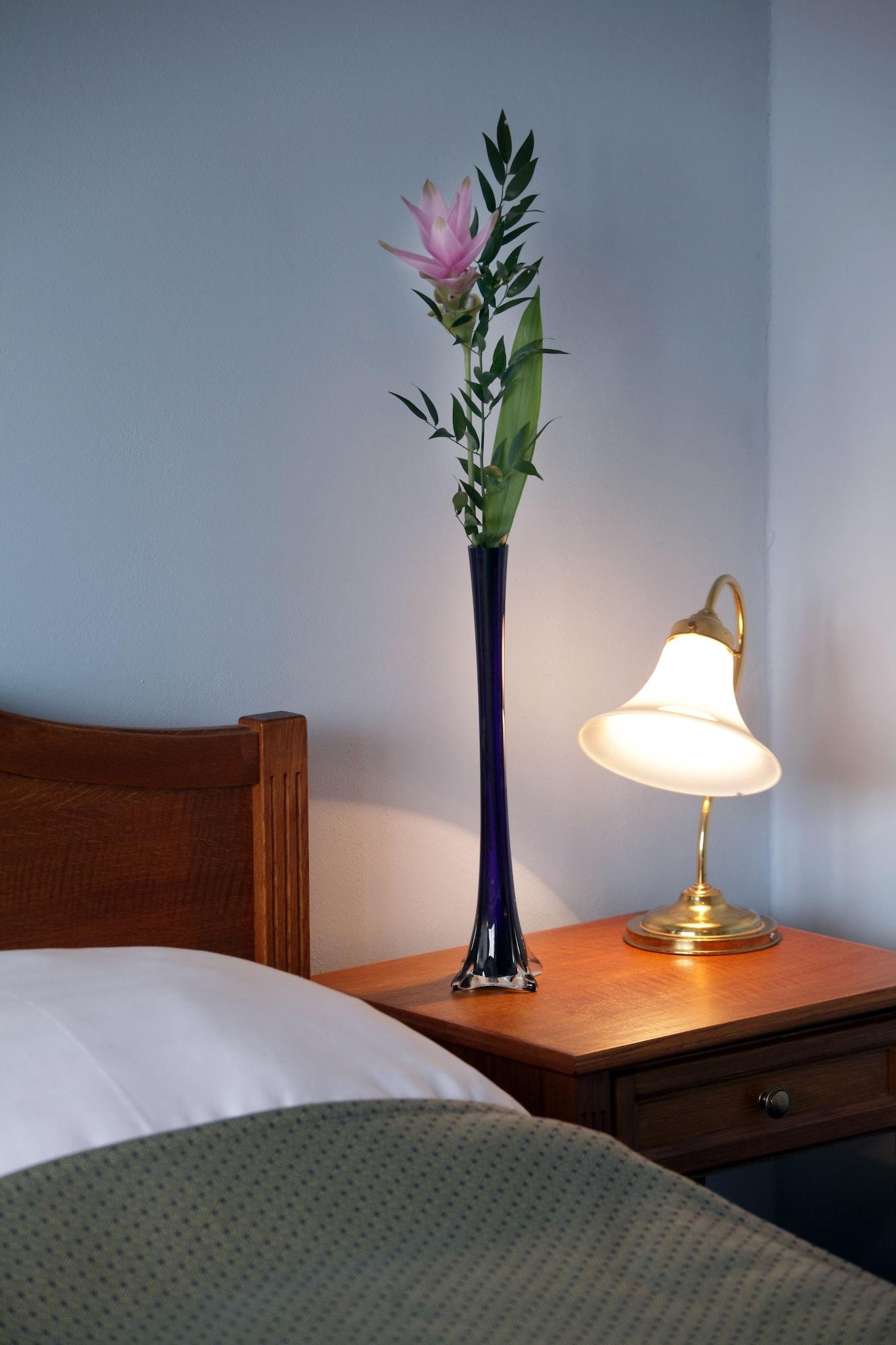 Hotel Anna 3*