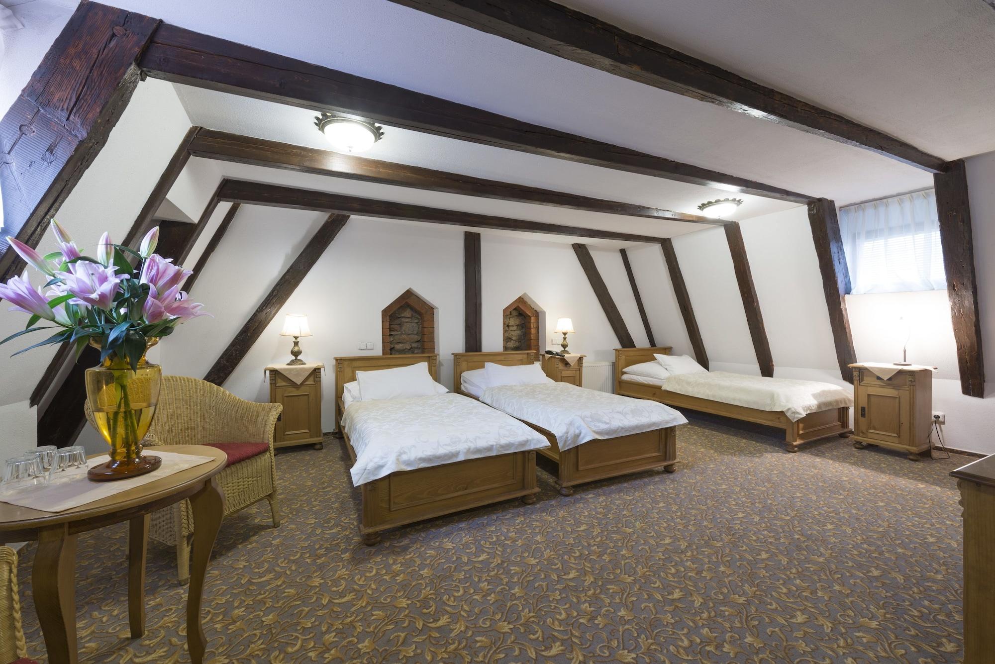 Hotel Cerny Slon 4*