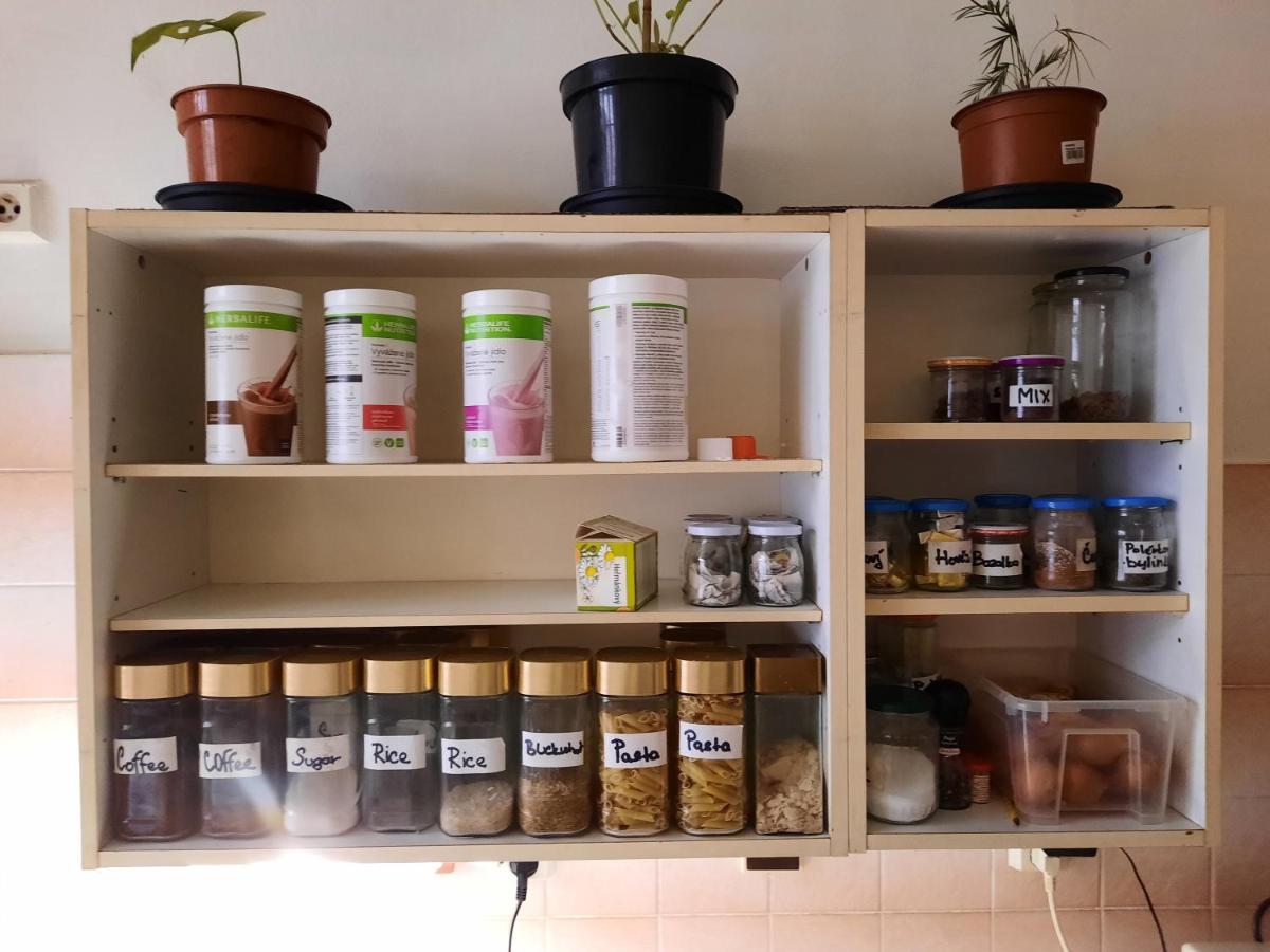 Downtown Minimalistic In Flatshare Pansiyon