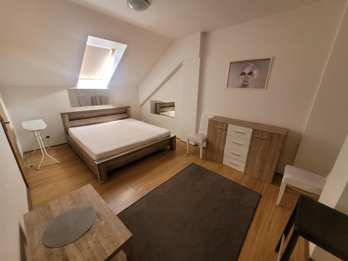 Appartement Zizkov B *