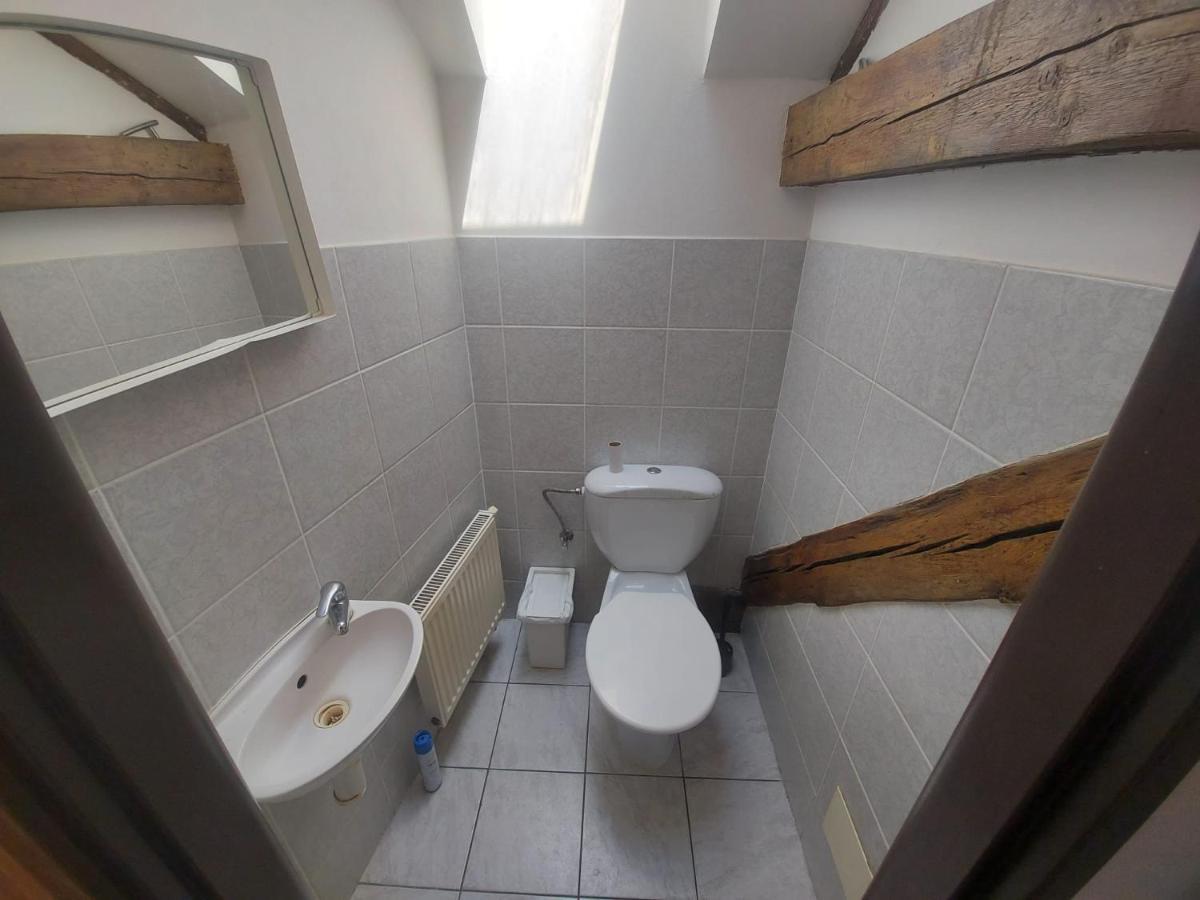 Appartement Zizkov B