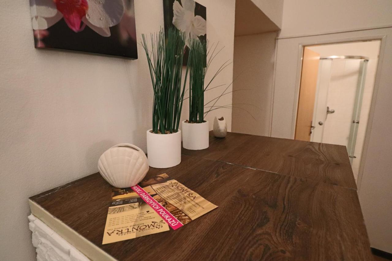 Relax Strasnice: With Private Infra-sauna ! Apartment *