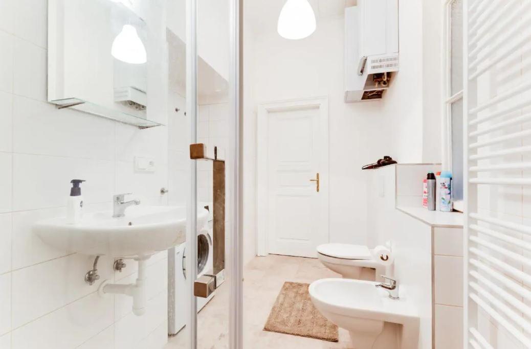 New & Cozy 3bds In Historical Center - S8 Apartment Prague