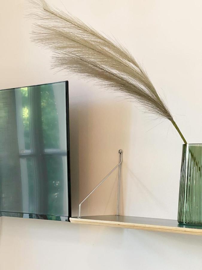 Daire Tyrsova Design Prag