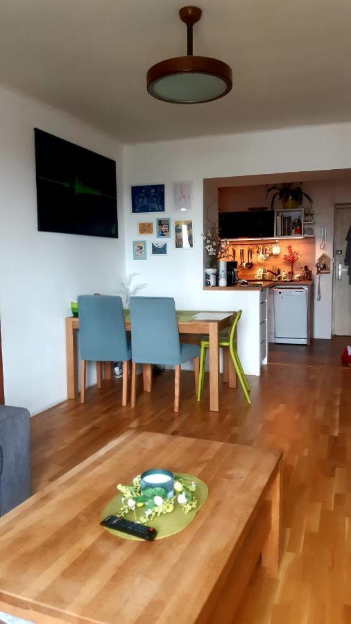 Apartment Sunny Family In Zizkov Prague