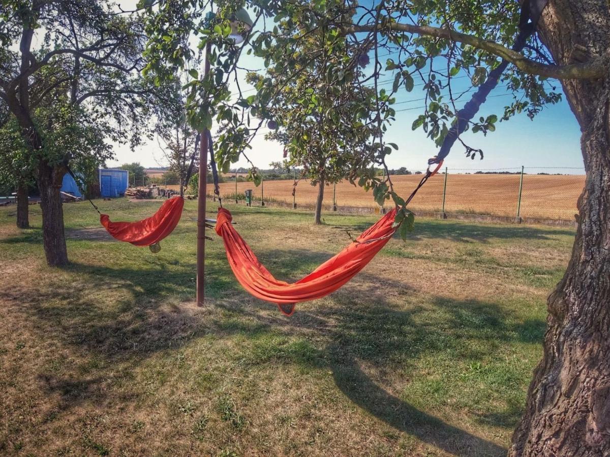Hébergement de vacances Prima By Interhome