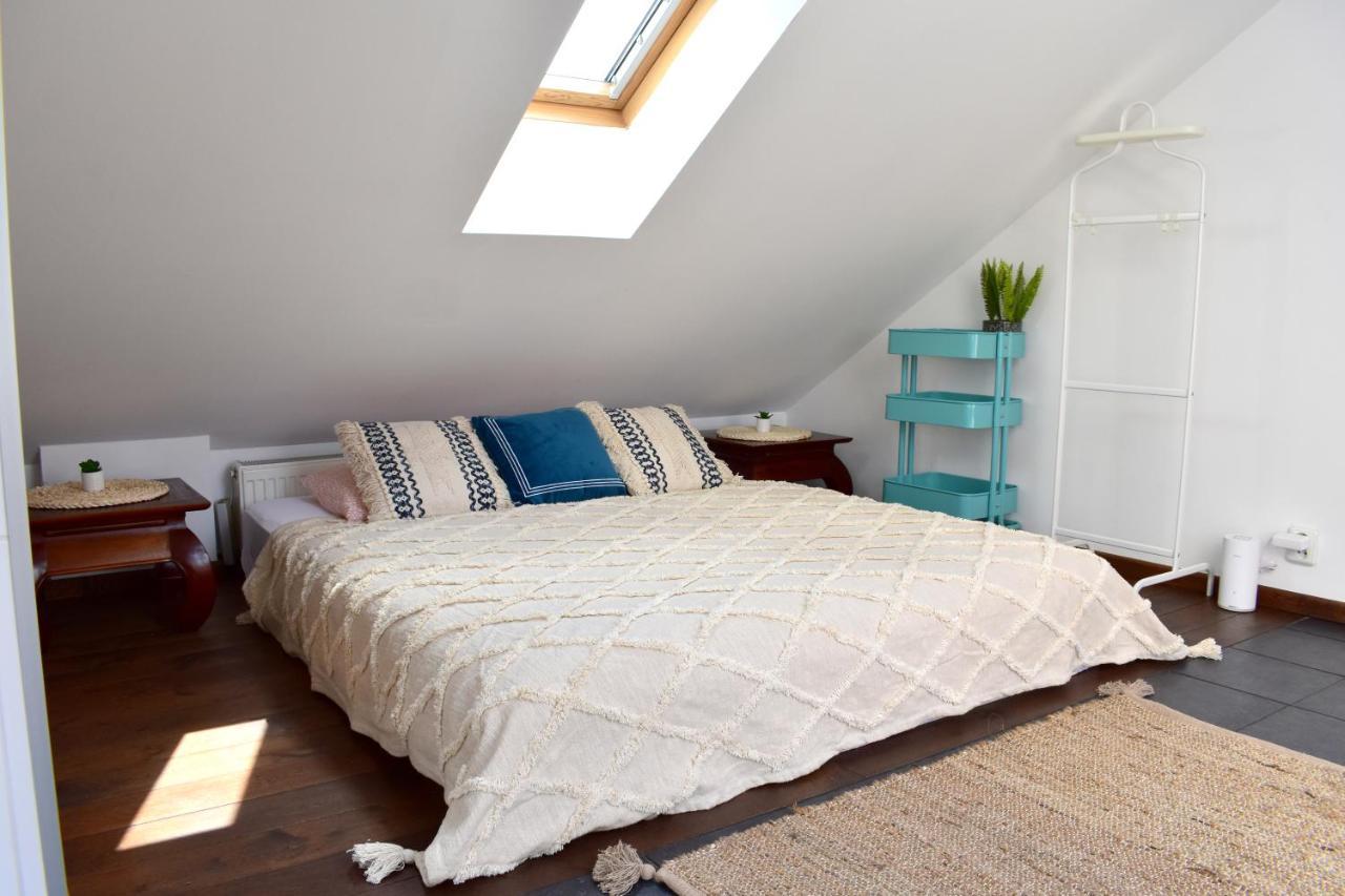 Daire Lux Duplex Rooftop Loft With An Amazing Terrace & Cinema Prag