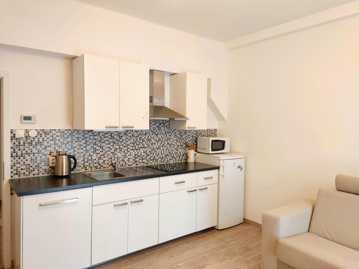 Zizkov Apartment