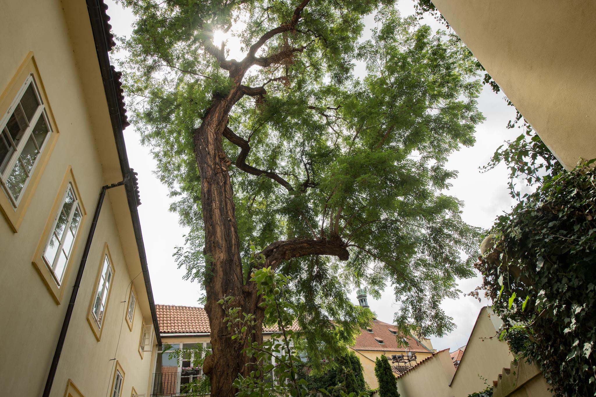 Hotel Monastery Garden