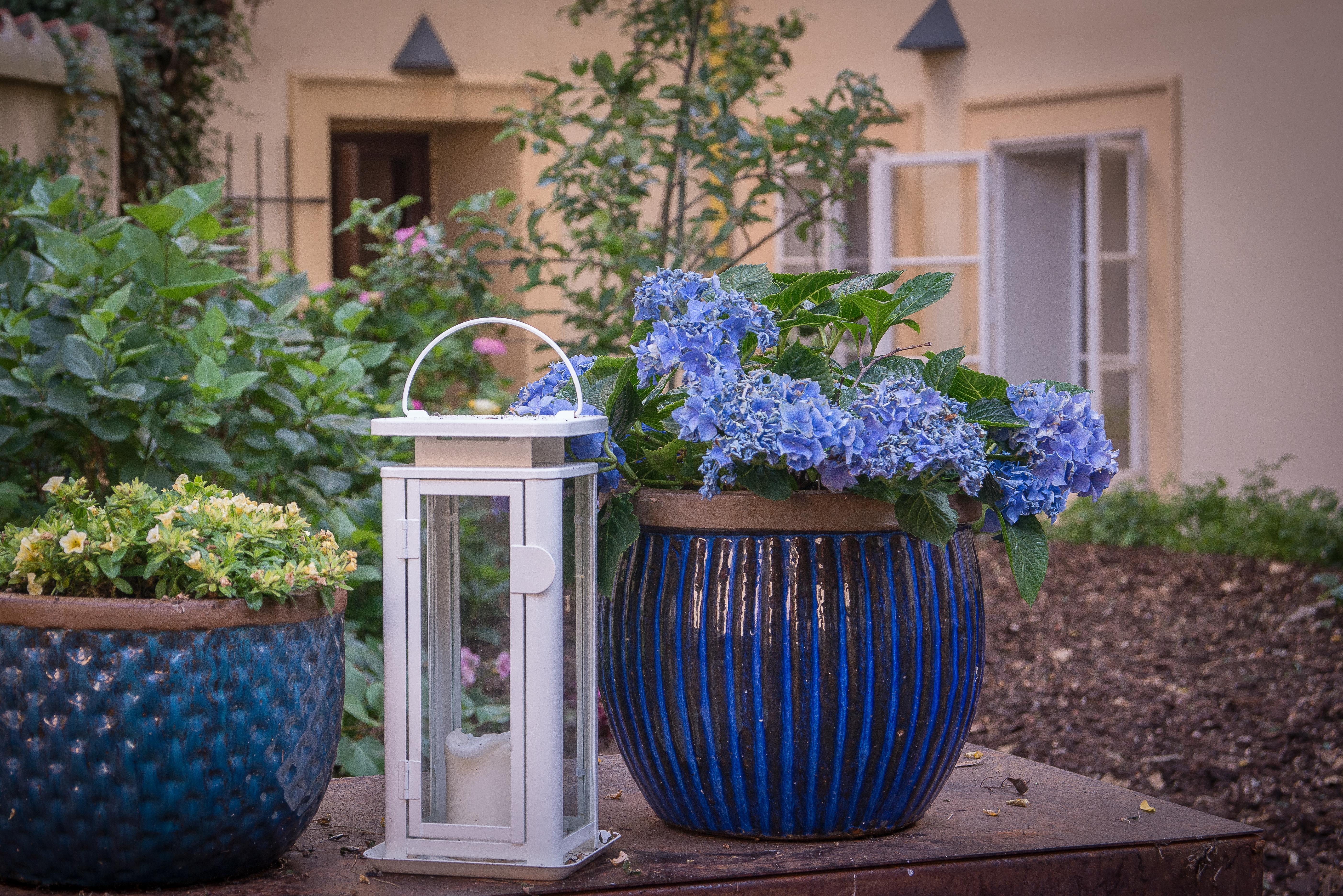 Hotel Monastery Garden 4*