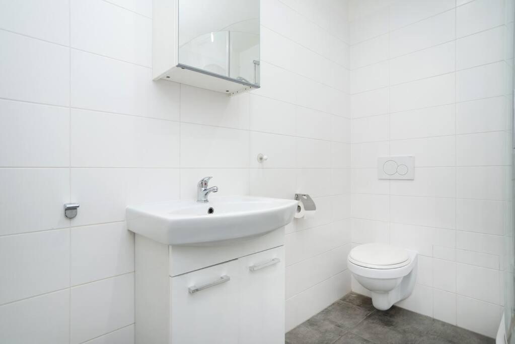 Bright, Spacious In The Historic Centre Apartment Prague