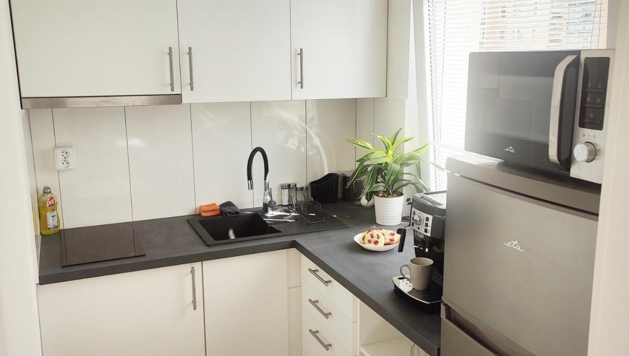 King Size Sunny 19 Minutes To Center Apartment Prague