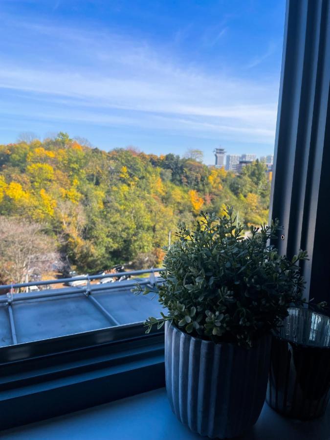 Appartement Lupacova *