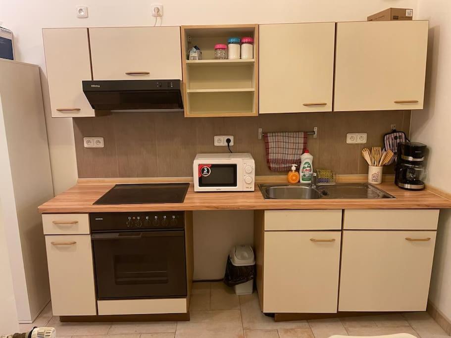 Helen Homestay Vysehrad Daire Prag