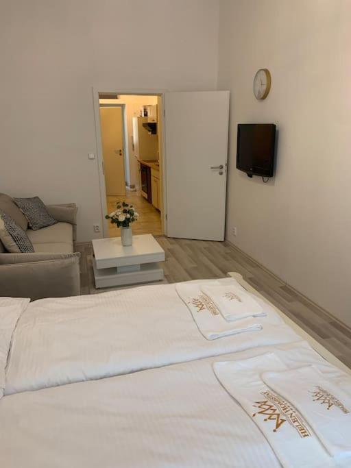 Daire Helen Homestay Vysehrad Prag