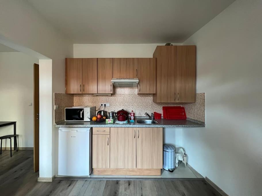 Modern Krymska & Francouzska Street Appartement *