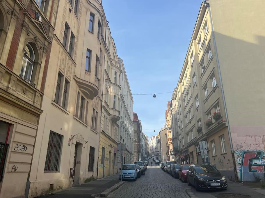 Modern Krymska & Francouzska Street Appartement Prague