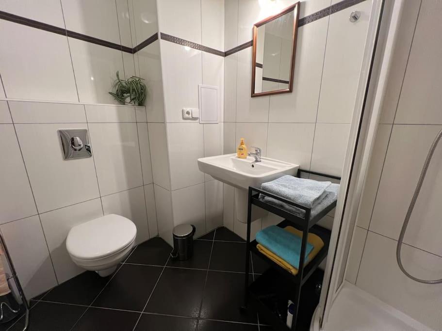 Modern Krymska & Francouzska Street Appartement *
