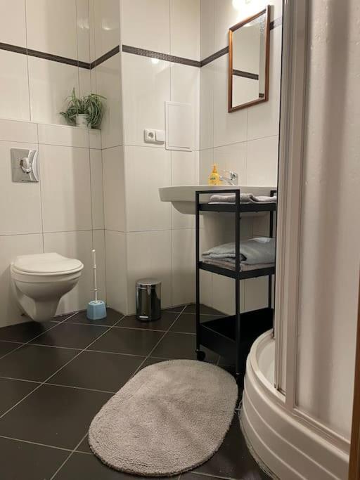 Modern Krymska & Francouzska Street Appartement Prague