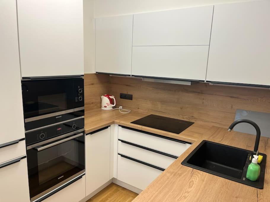 Apartment Holesovice,balkon,garaz Prague