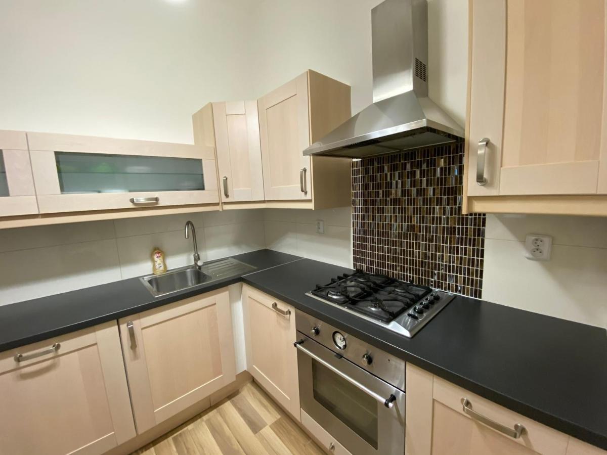 Wenceslas Square Big Apartment