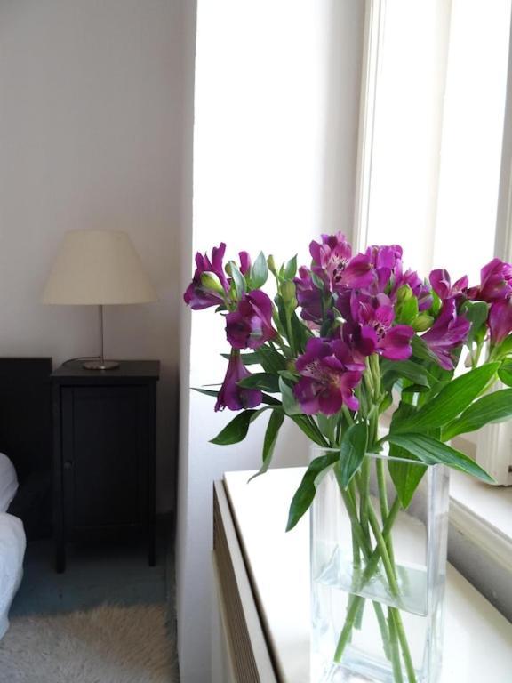 Garden On Art Nouveau Street In Apartment *