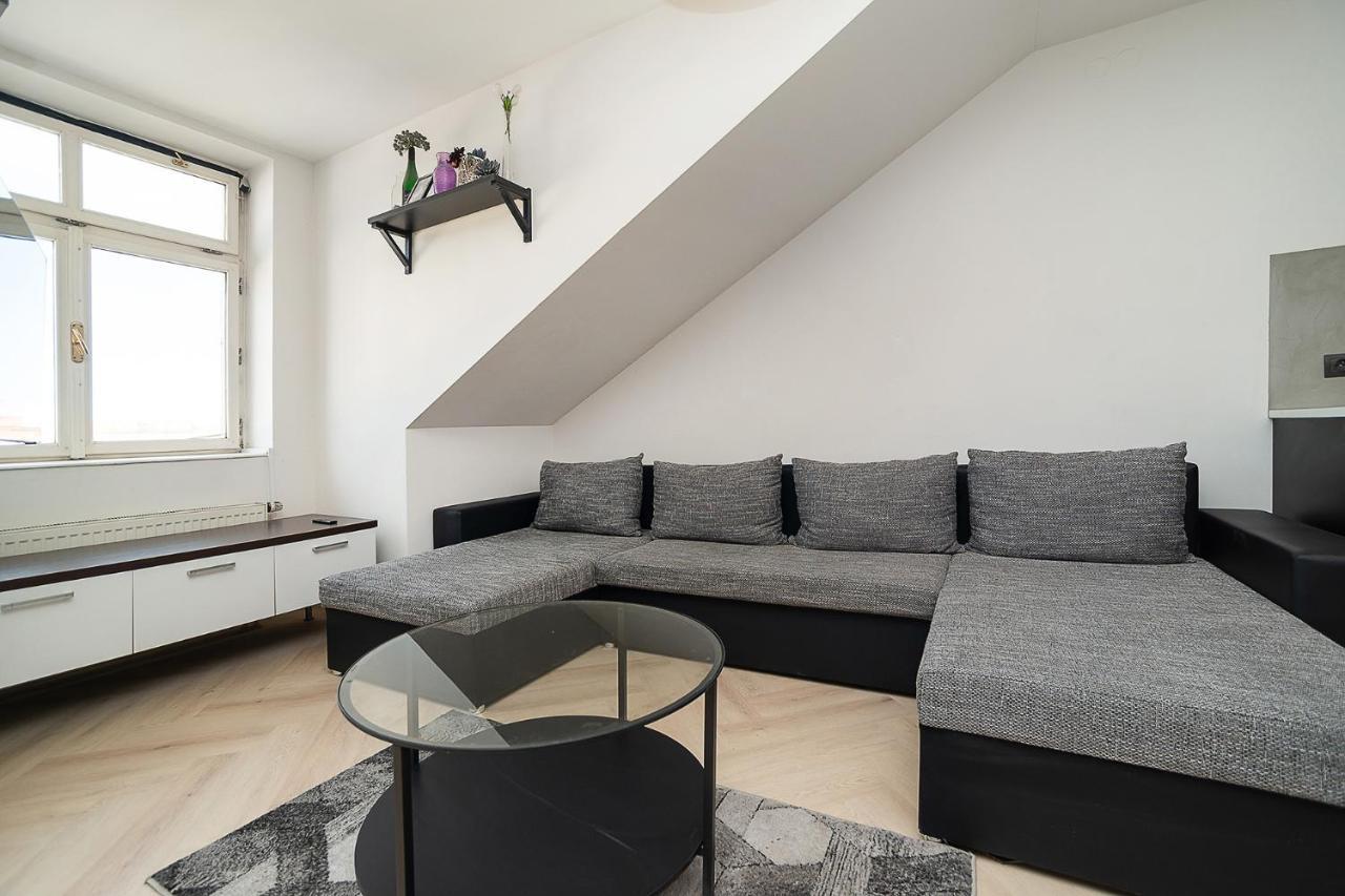 Big 4-bedroom Flat, Terrace With Great Vitkov View Apartment