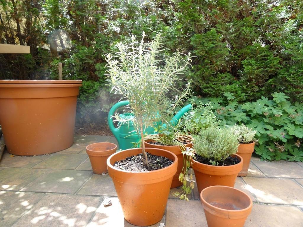 Apartment Garden On Art Nouveau Street In *