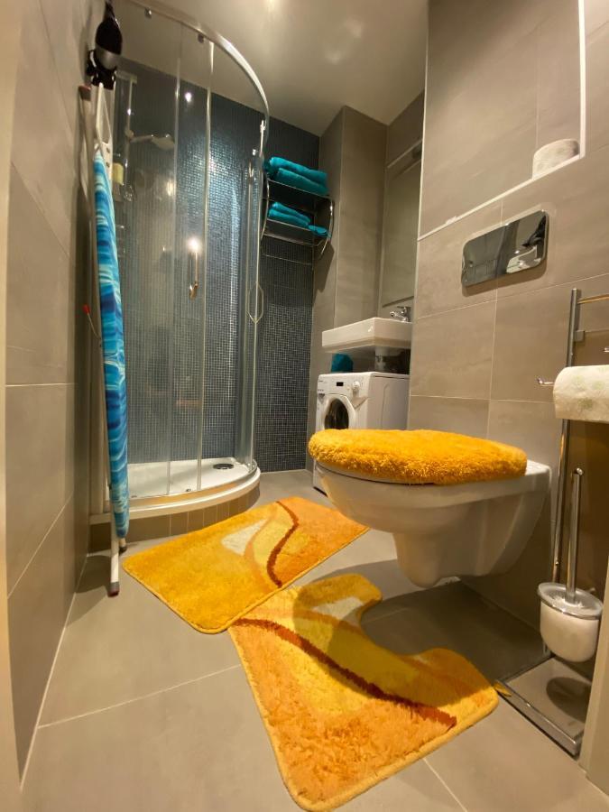 Apartment Slavikova *