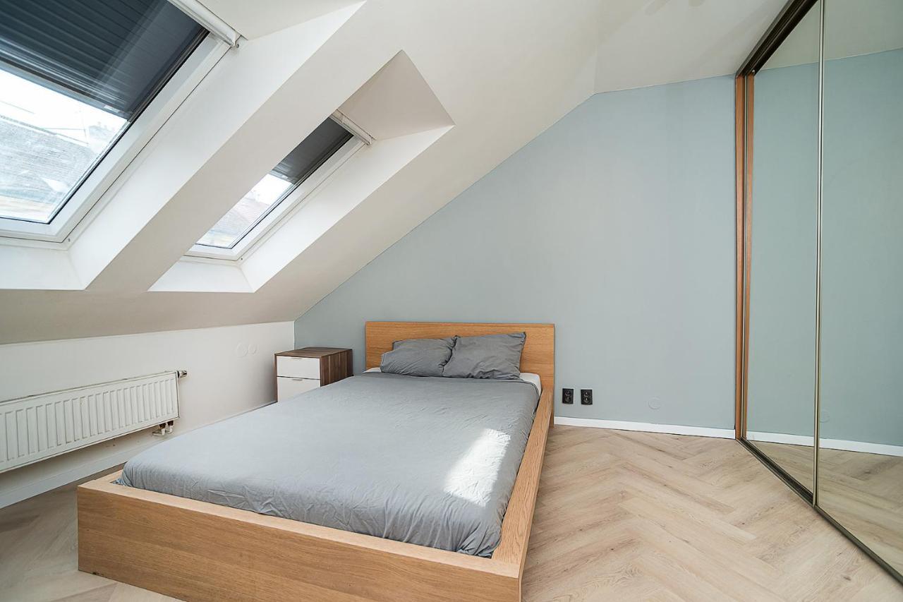 Apartment Big 4-bedroom Flat, Terrace With Great Vitkov View Prague