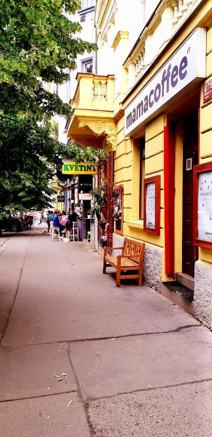 Cozy In Vinohrady Prague
