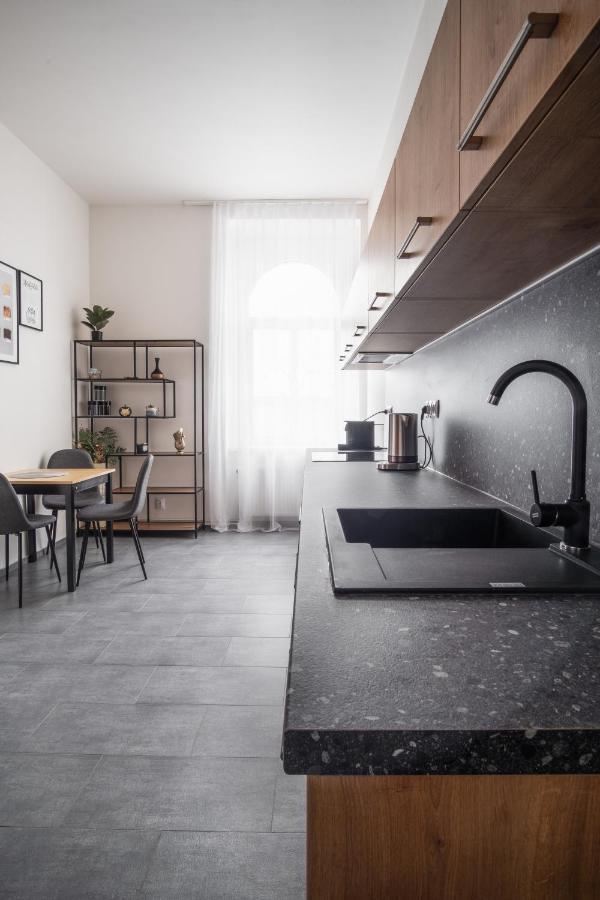 Spacious In Karlin By Days Prague