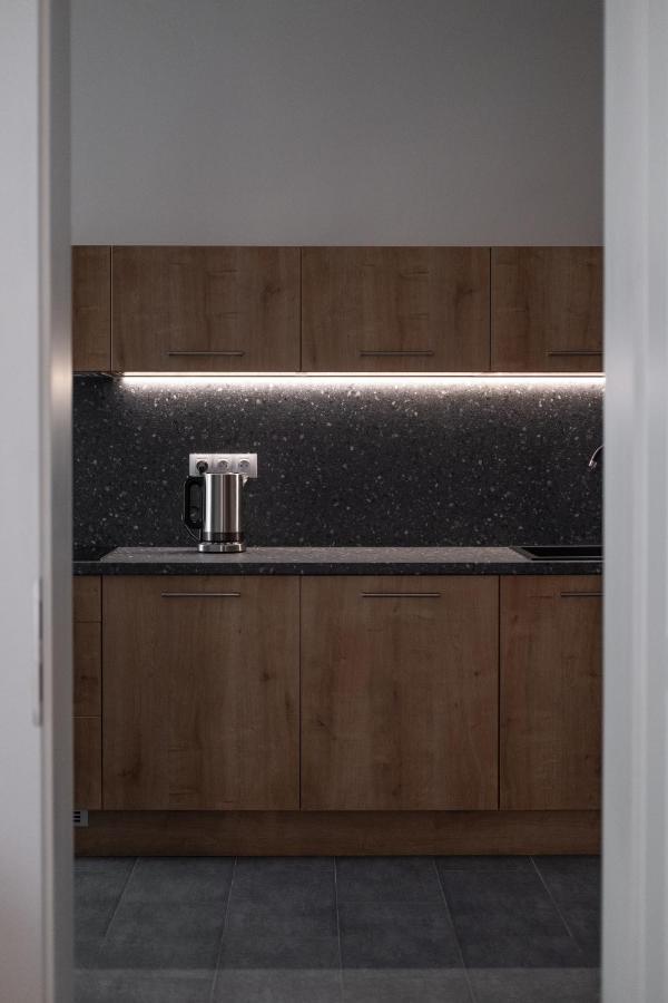 Spacious In Karlin By Days Prague