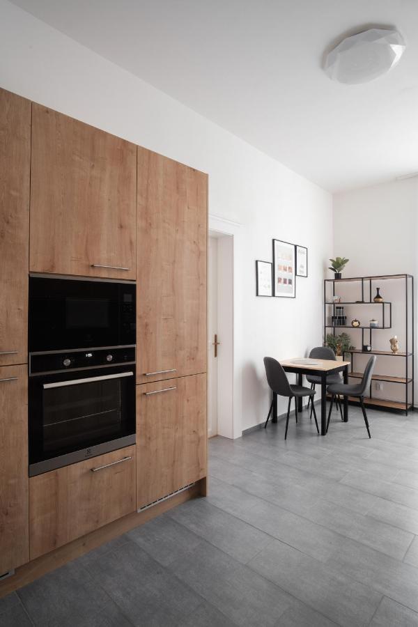 Spacious In Karlin By Days * Prague