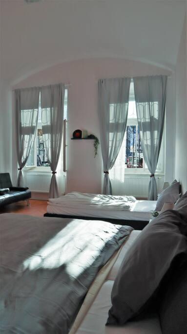 Modern In The Center Of Apartment Prague