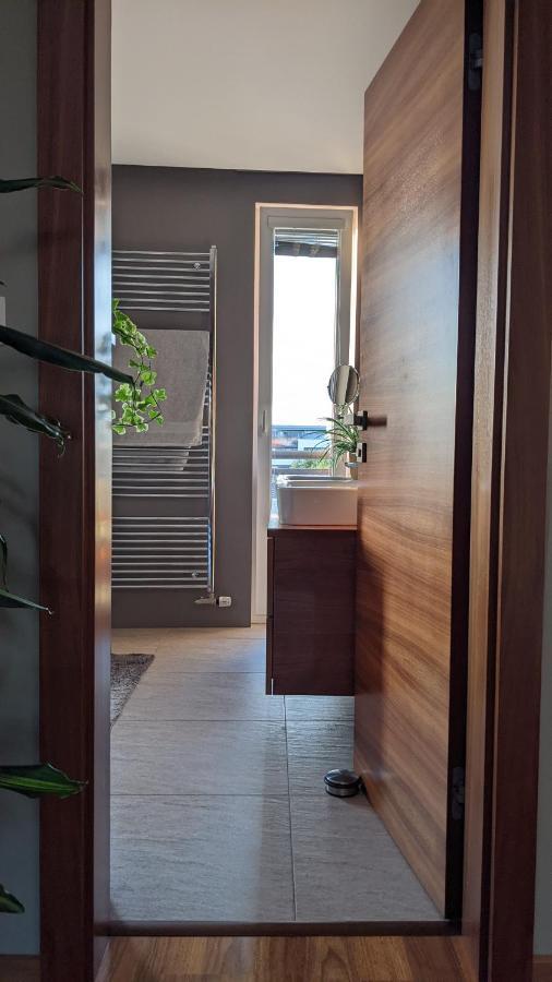 Luxurious Villa-apartment With Spacious Terrace Apartment Prague